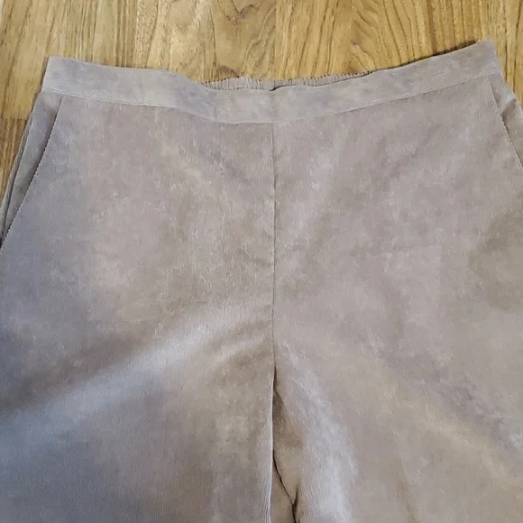Alfred Dunner Womens Pull On Pants Corduroy Size 12 Tan - Picture 3 of 11